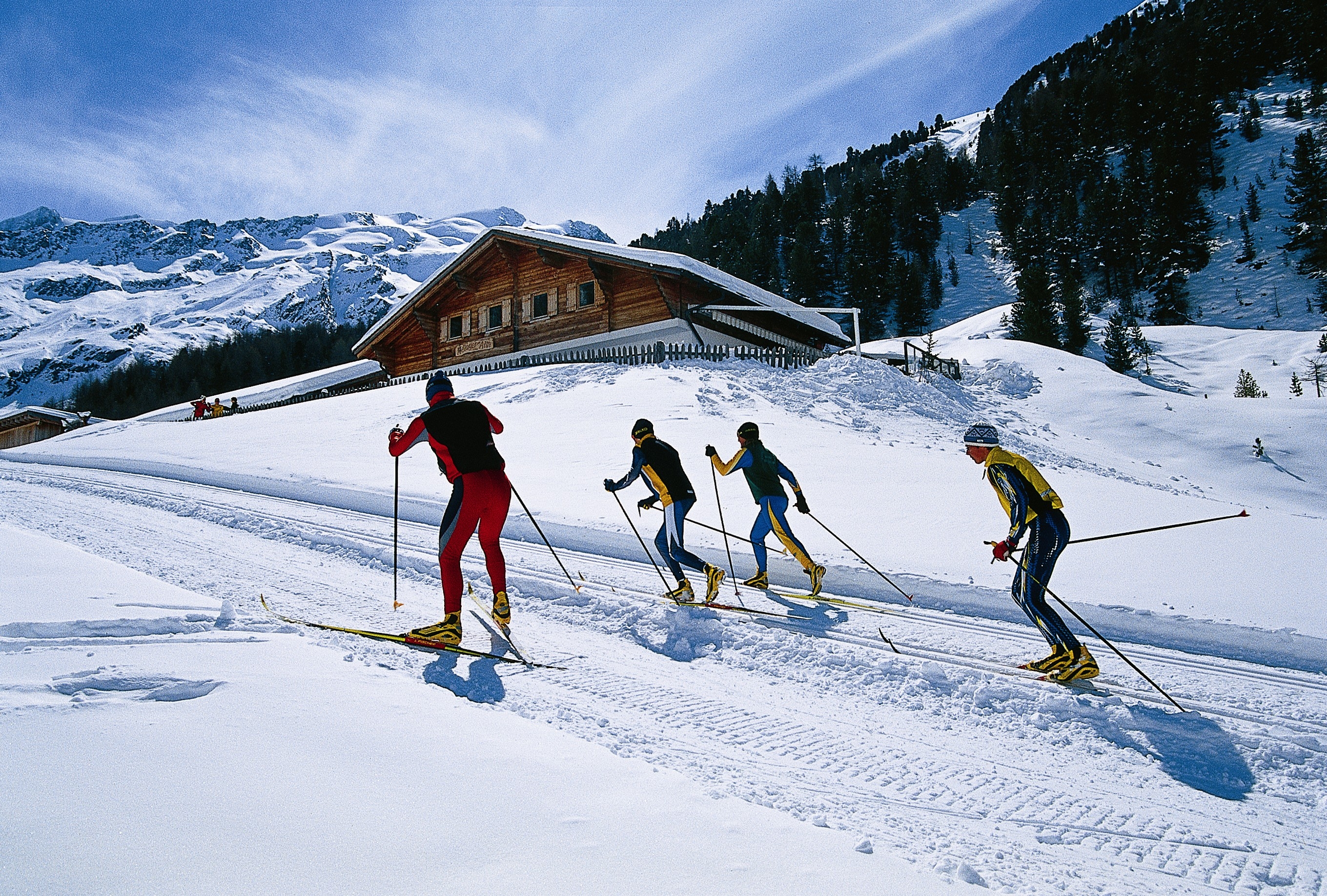 Ski's. Лыжи спорт. Лыжники. Беговые лыжи спорт. Катание на лыжах.