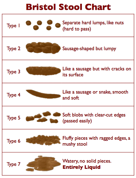 bristol_stool_chart