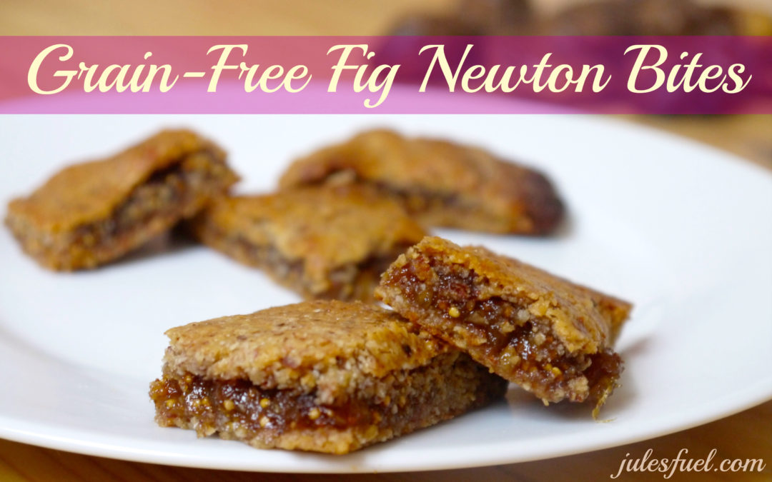 Grain-Free Fig Newton Bites