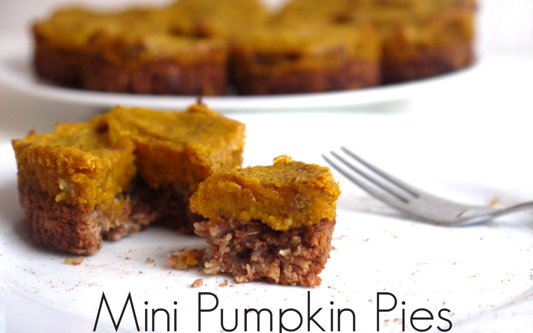 Mini Pumpkin Pies (Gluten & Dairy Free!)