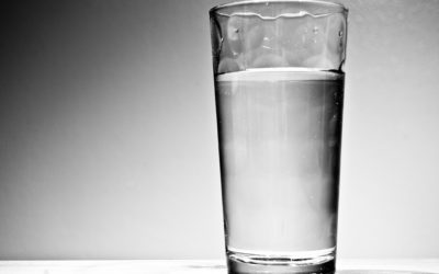 Hydration Guide: What, Why, When, & How Much to Drink!